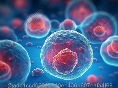 干细胞为什么能治卵巢早衰？
