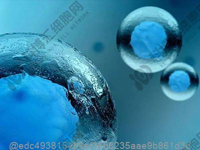 海口干细胞治疗肝硬化大概多少钱？